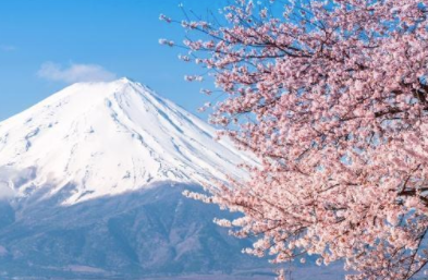 日本留学面试基本形式