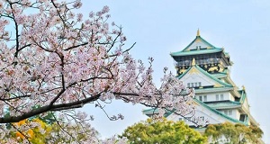 上海日本留学机构：选择与规划