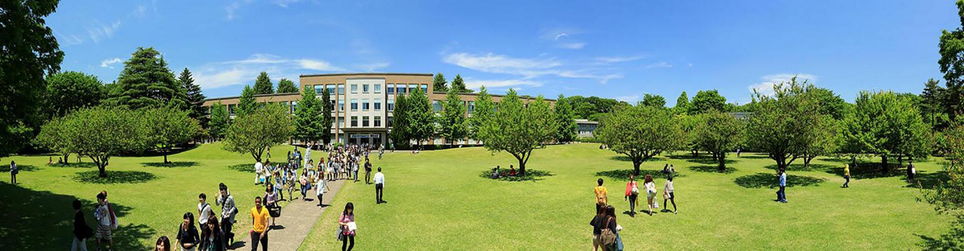 国际基督教大学（私立）