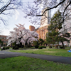 东北大学（公立）